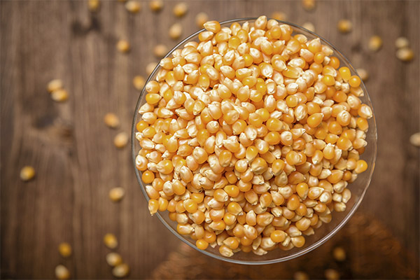 Hvad skal man lave med tørret majs