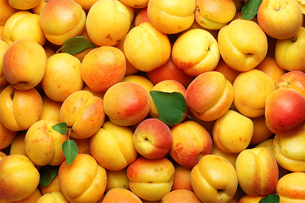 Interessante Fakten über Aprikosen