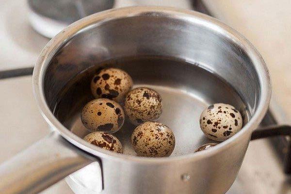 Comment et combien de temps faire bouillir les œufs de caille