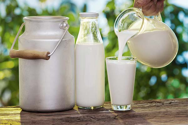 Ako správne podávať mlieko