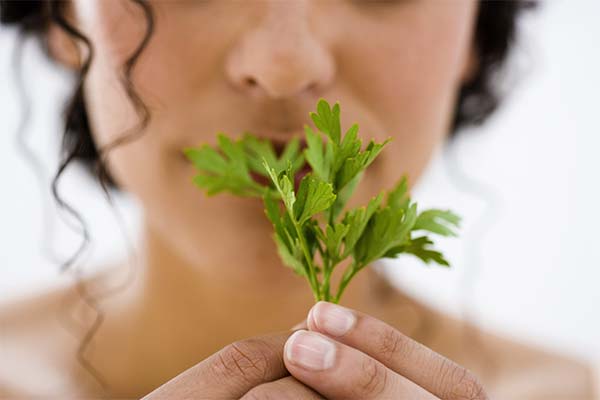 How to eat parsley correctly