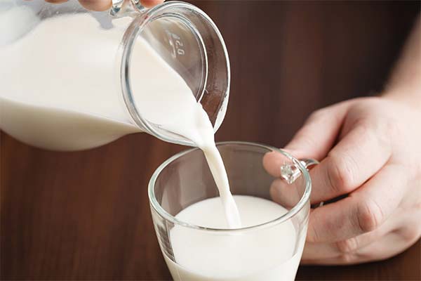 What is the right way to introduce milk into a breastfeeding mother's diet