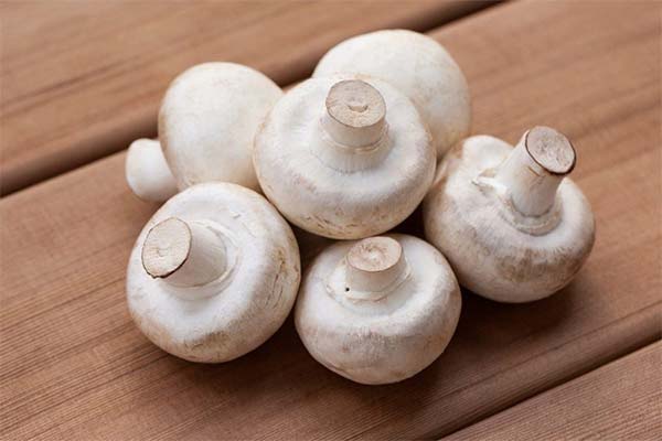 How to correctly introduce mushrooms in the diet of a breastfeeding mother