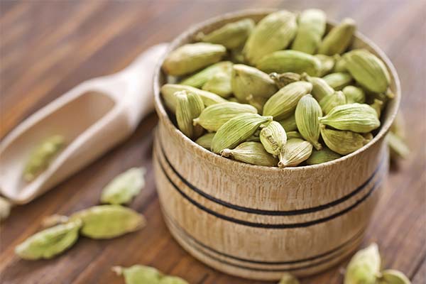 How to choose the right cardamom