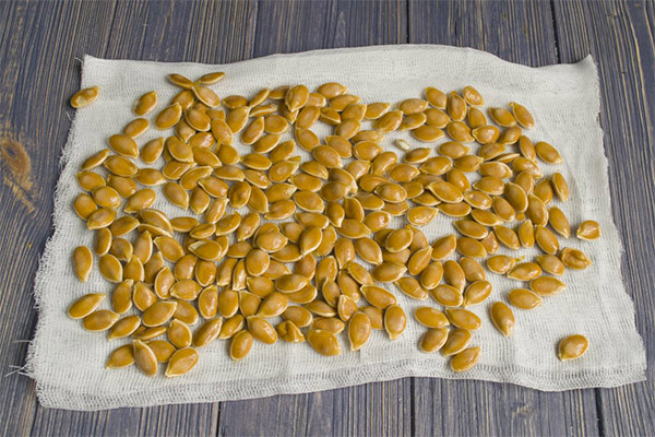 How to Dry Pumpkin Seeds in the Sun
