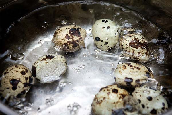 How to boil poached quail eggs