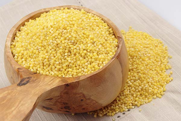 How to choose high-quality millet