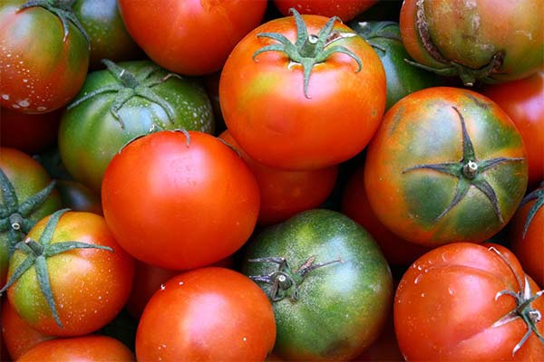Können Tomaten der ungeborenen Mutter schaden?