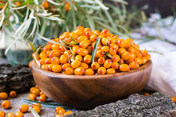 Can I Eat Sea Buckthorn with Seeds