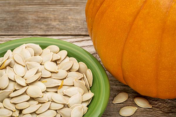 Can I Eat Pumpkin Seeds During Pregnancy