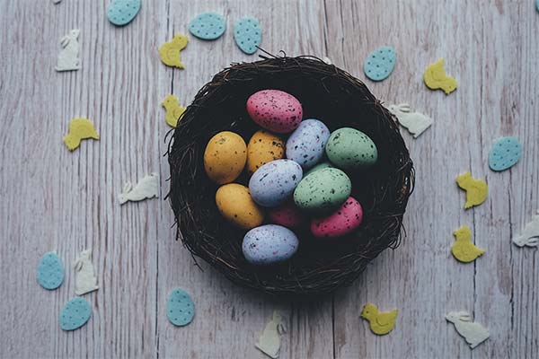 Můžeme na Velikonoce barvit křepelčí vajíčka?