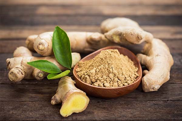 Ginger Consumption Rate