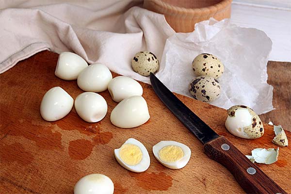 Normes et règles pour la consommation d'œufs de caille