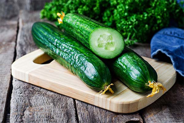 Cucumbers in pregnancy