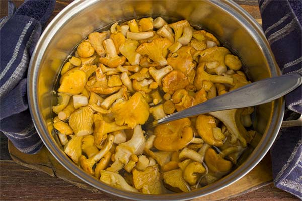 Why are chanterelles bitter after freezing