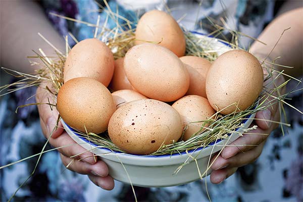 Fordelene ved æg under graviditeten
