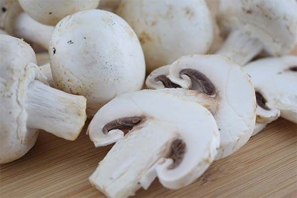 The benefits of mushrooms when breastfeeding