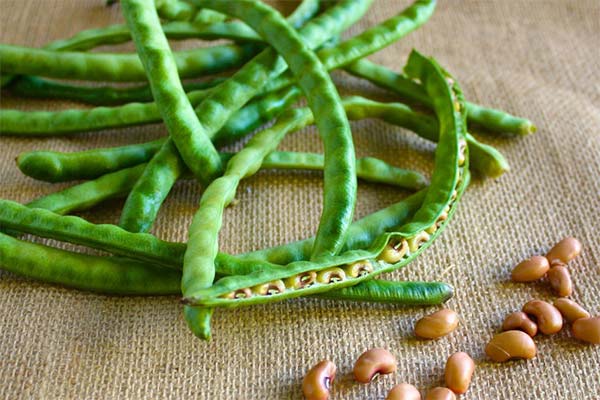 The benefits of string beans when breastfeeding