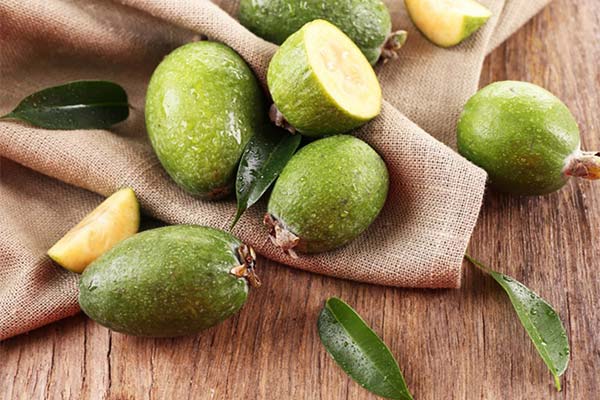 Feijoa Usage in Beauty Therapy