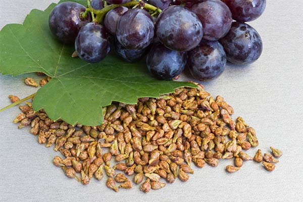 What is the use of grape seeds