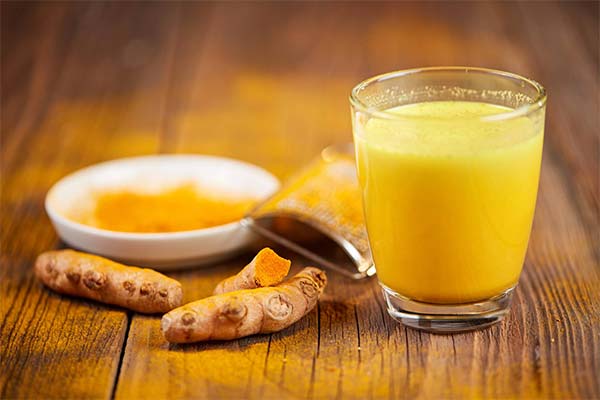Anvendelse af gylden mælk i traditionel medicin