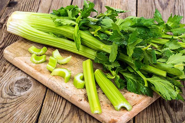 Celery for Pregnancy