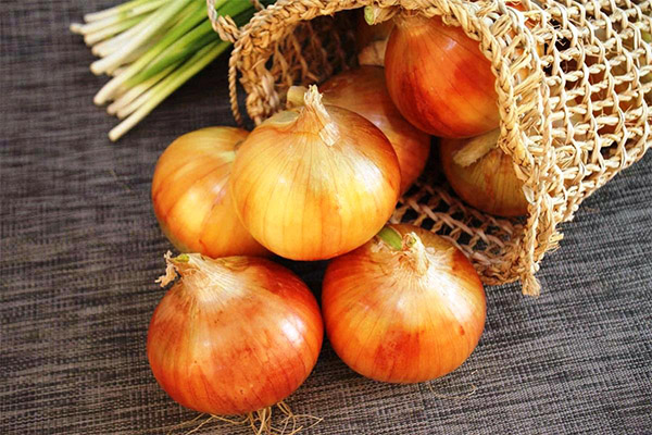 Sweet varieties of onions