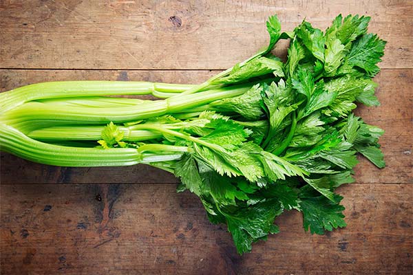 What are the dangers of celery during pregnancy?
