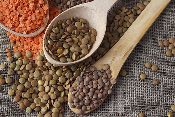 Harms and contraindications of lentils