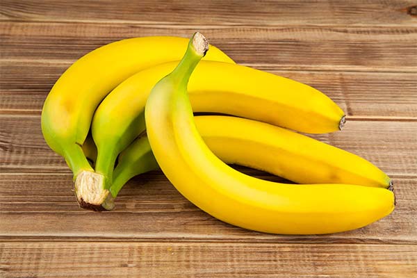 Bananer under amning