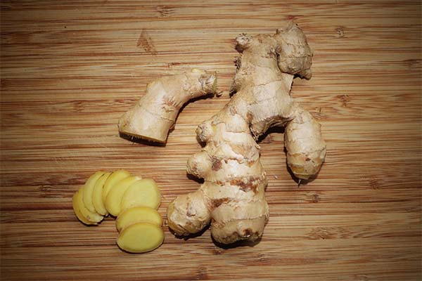 What are the dangers of ginger during lactation