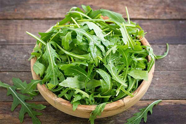What are the dangers of arugula during lactation