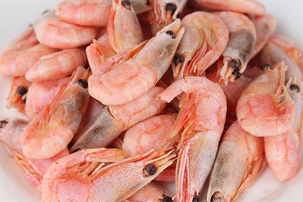 What are the dangers of shrimp during lactation