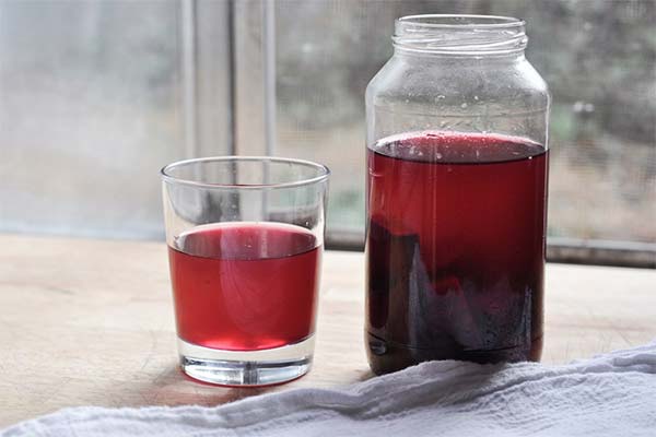What is beet kvass useful for pregnant women?