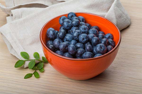 Blueberries in pregnancy