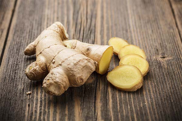 How to use ginger correctly in a breastfeeding mother's diet