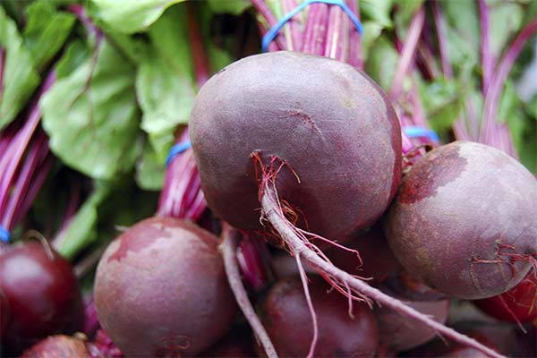 How to choose a beet