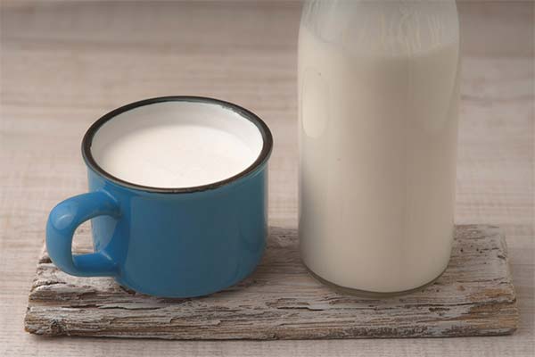 How to choose and store kefir
