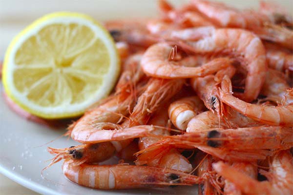 How to choose and store the shrimp