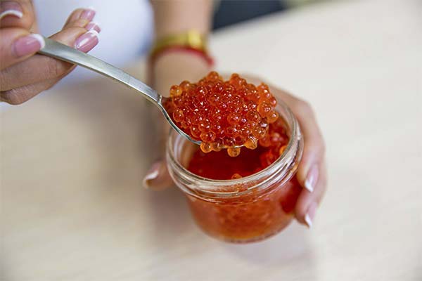 Le caviar rouge pendant l'allaitement