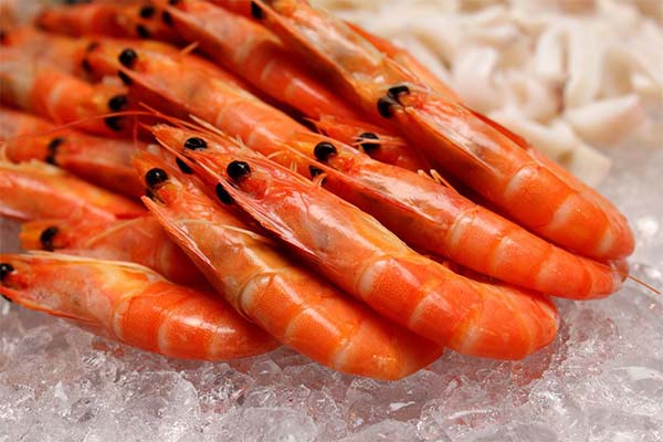 Shrimps in der Stillzeit