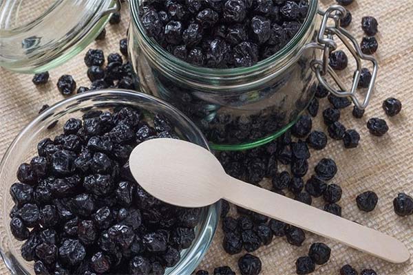 Are dried blueberries useful during pregnancy