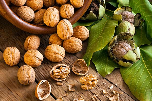 The benefits of walnuts during pregnancy
