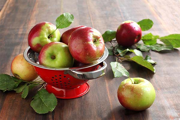 Fordelene ved æbler under graviditeten
