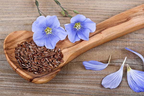 The benefits of flax seeds during pregnancy