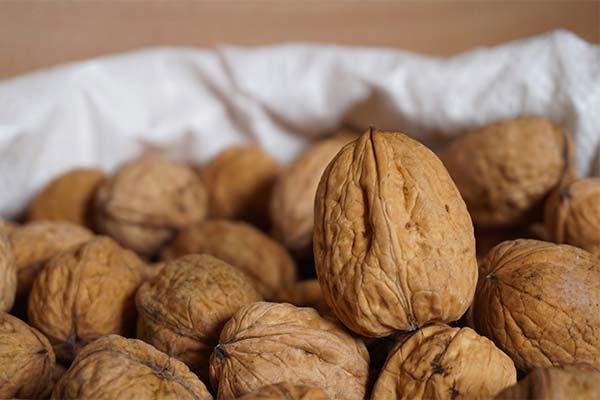 Choosing and storing walnuts