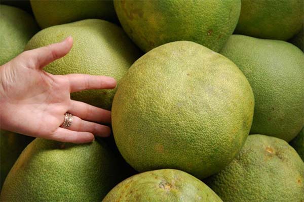 How to choose a ripe pomelo in a store