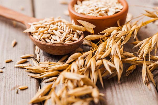 How Oats Affect the Human Body