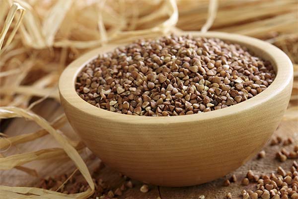 What are the health benefits of buckwheat for the body of women