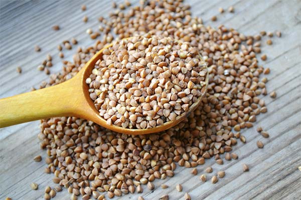 How Often Buckwheat Can Be Eaten